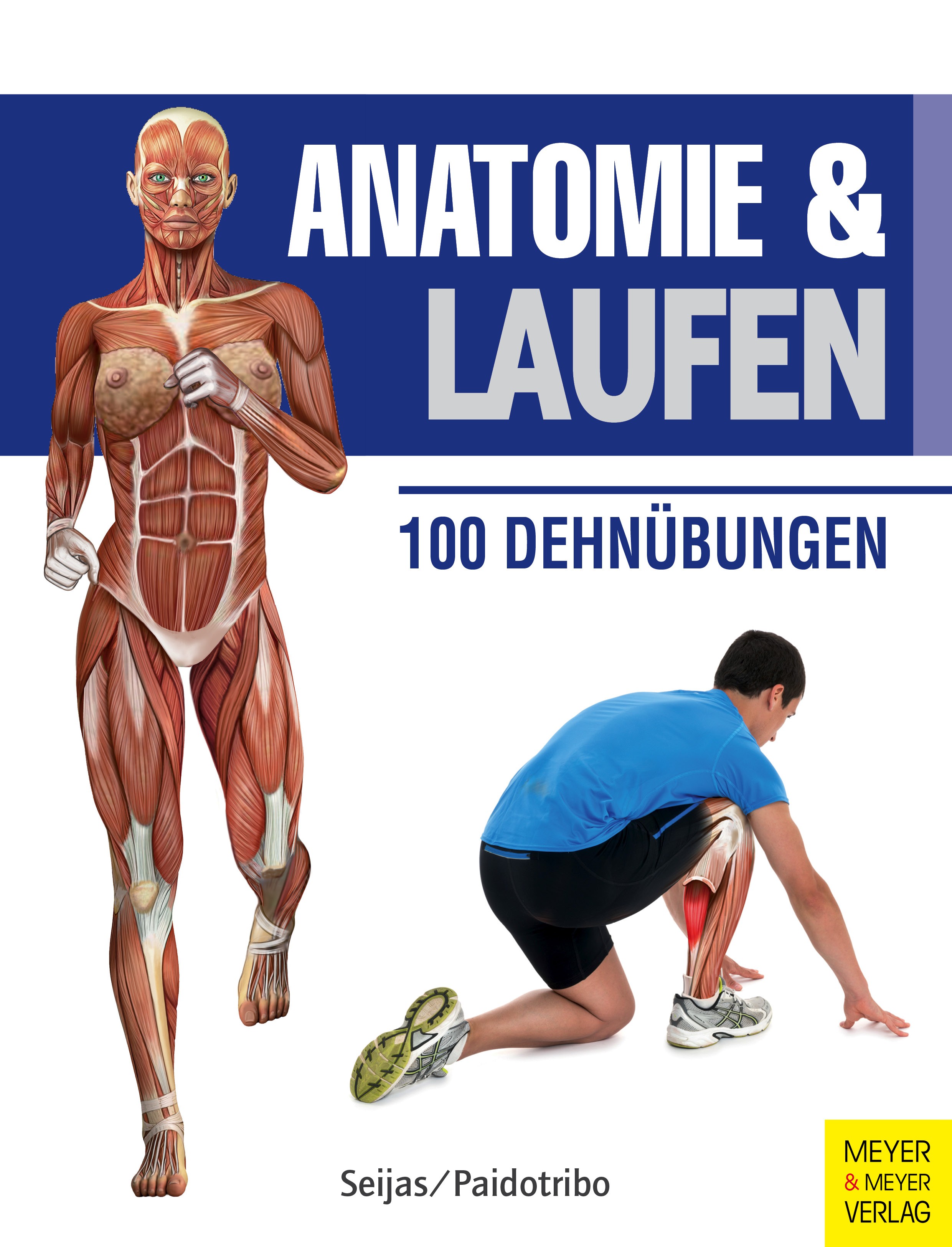 Anatomie und Laufen